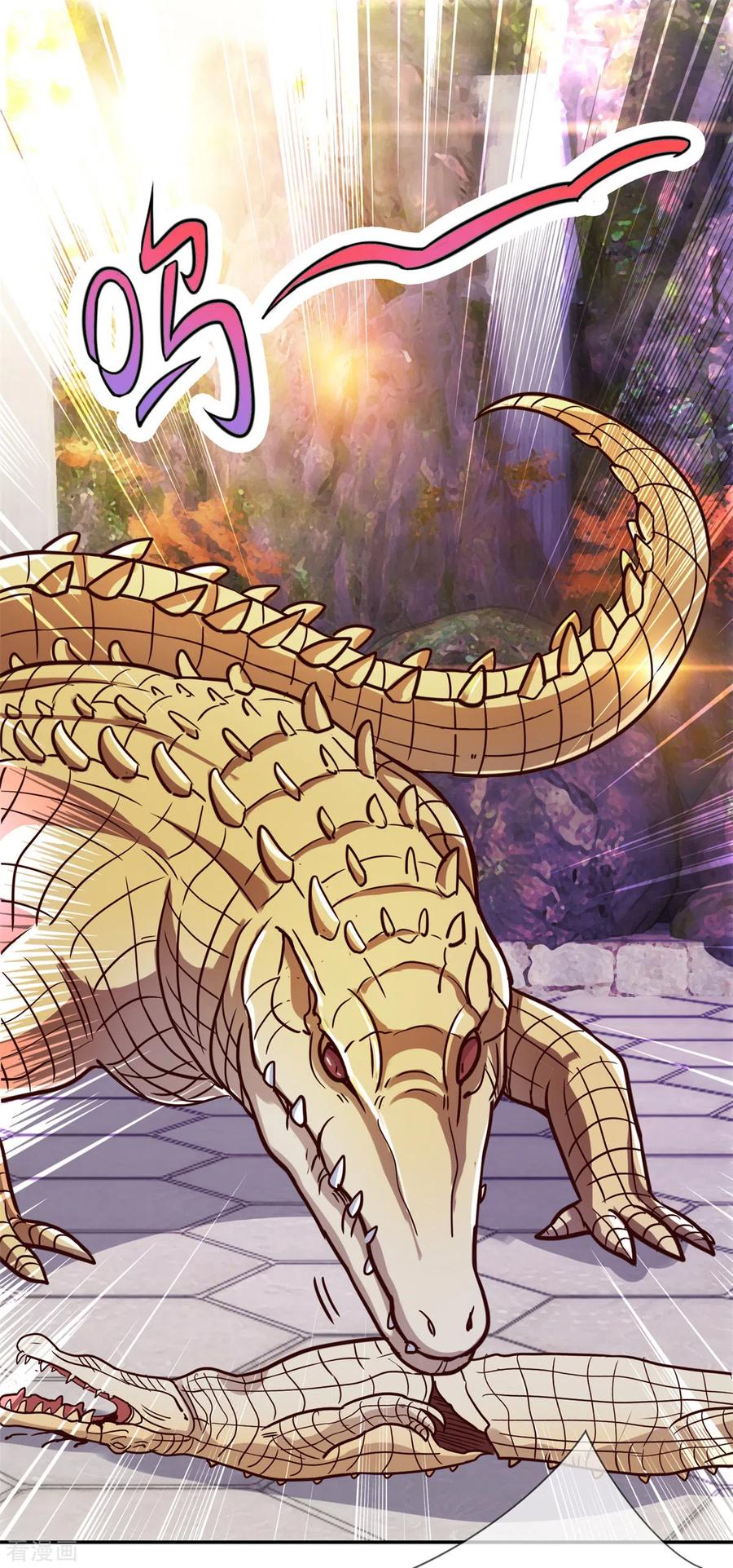 第51话 出手1