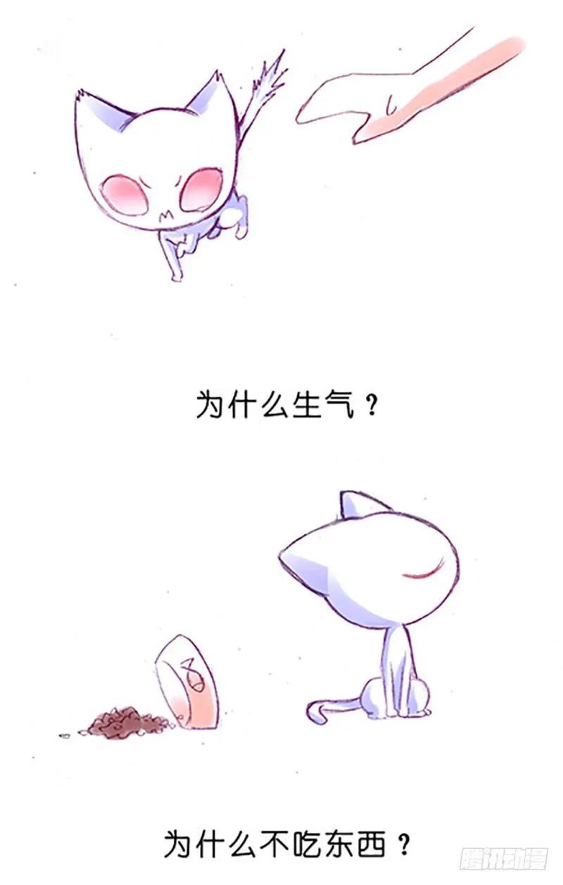 我家大师兄脑子有坑漫画免费下拉式奇漫屋漫画,番外：飞星喵6-15合集4图