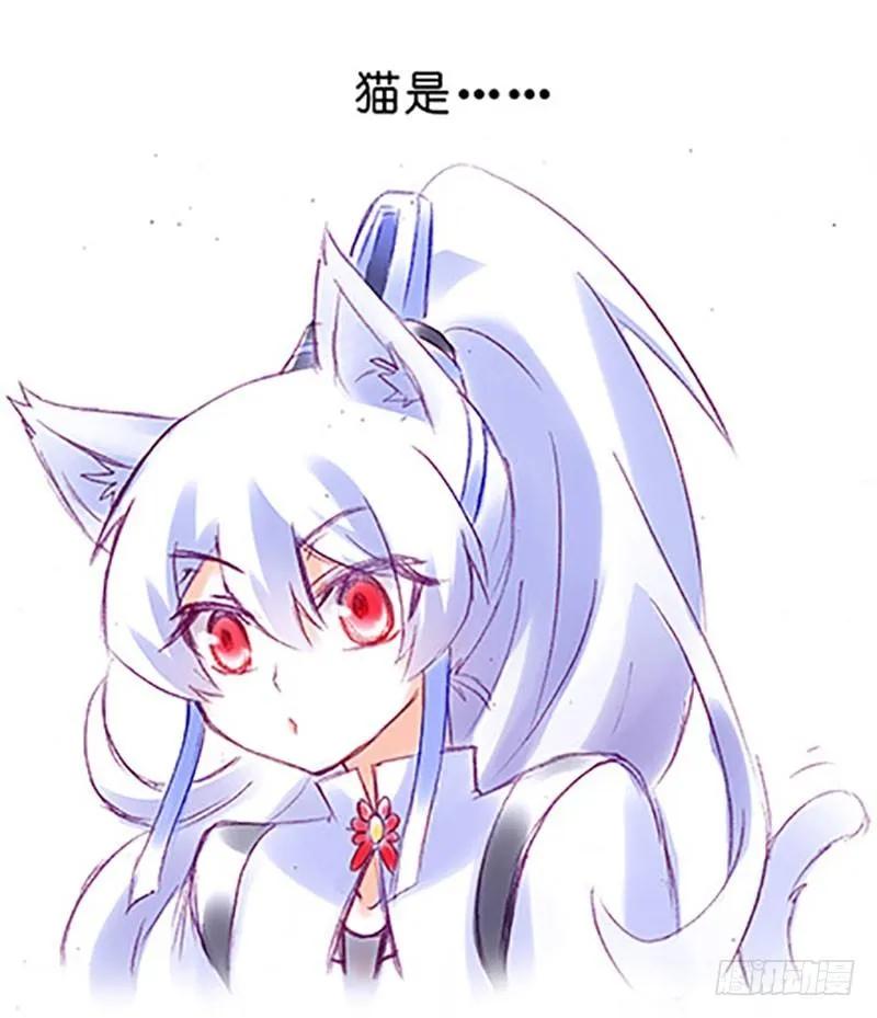 我家大师兄脑子有坑漫画免费下拉式奇漫屋漫画,番外：飞星喵6-15合集2图