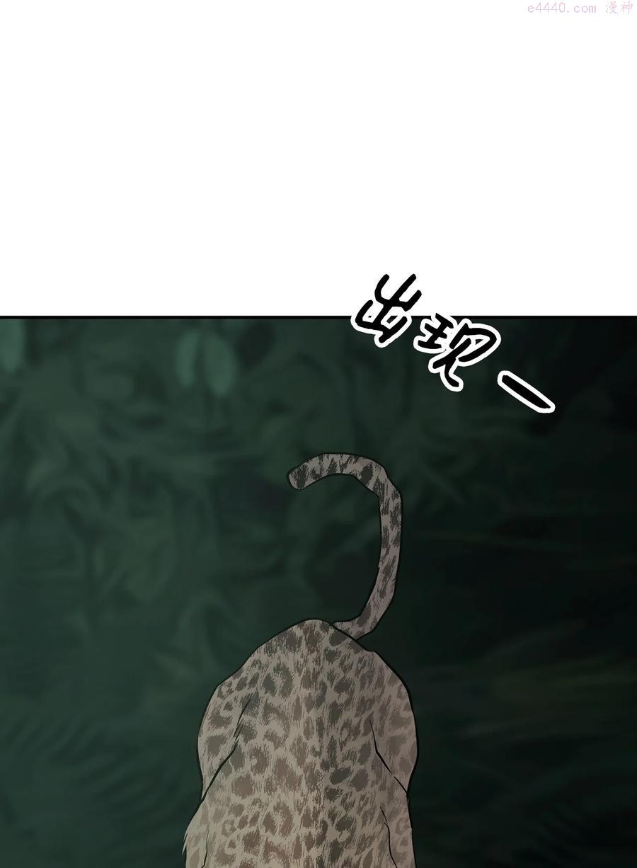 图腾领域三季漫画,35 猫咪3图