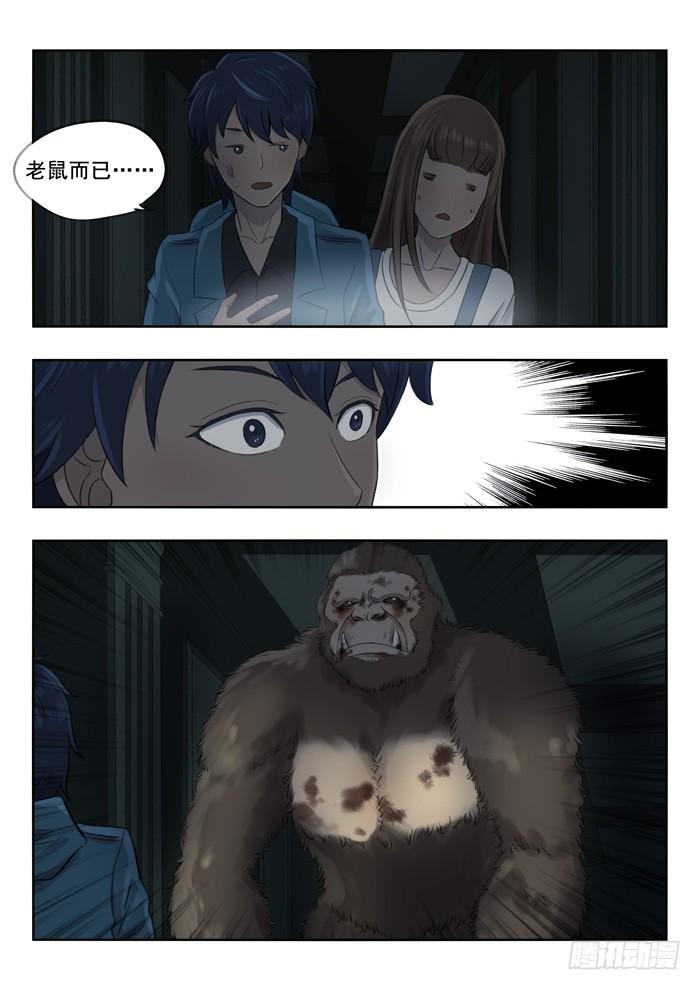 88.猩猩？4
