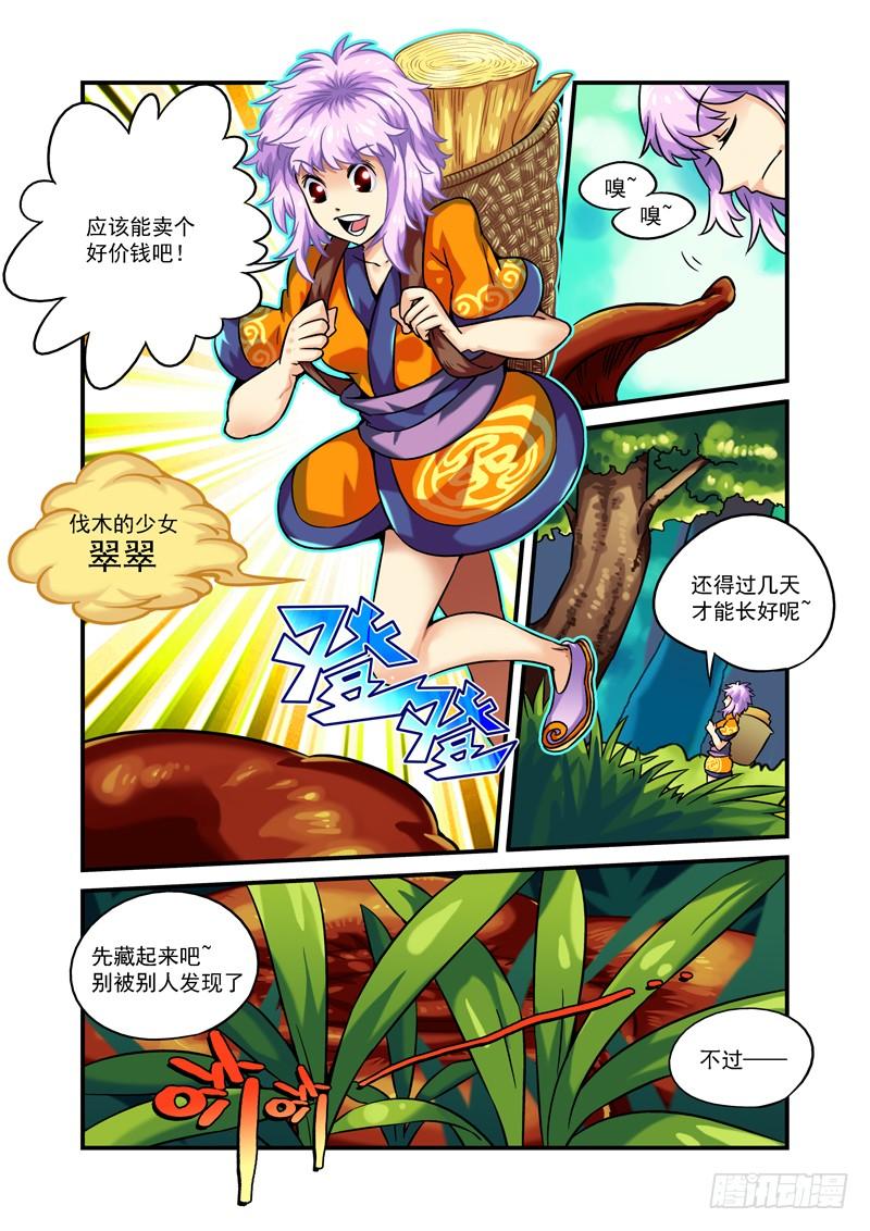 木字卷 第一回 灵芝4