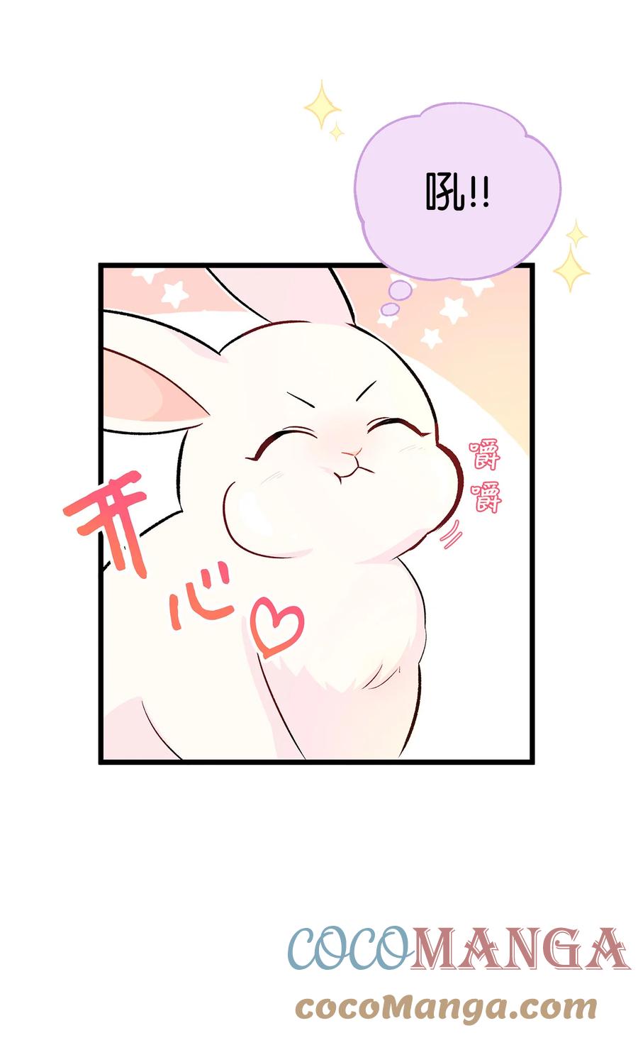 06 兔界拳王3