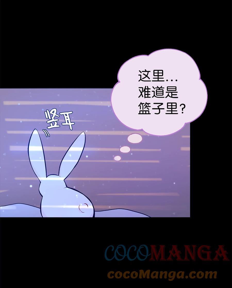 01 哭泣的兔子3