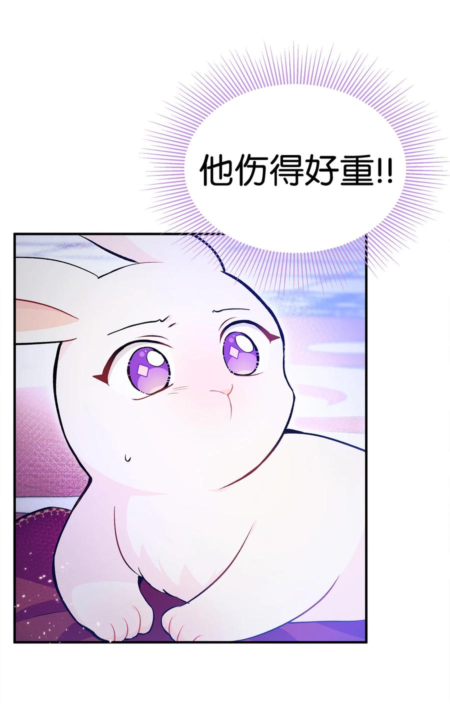 兔子与黑豹的共生关系漫画,04 受伤的黑豹5图