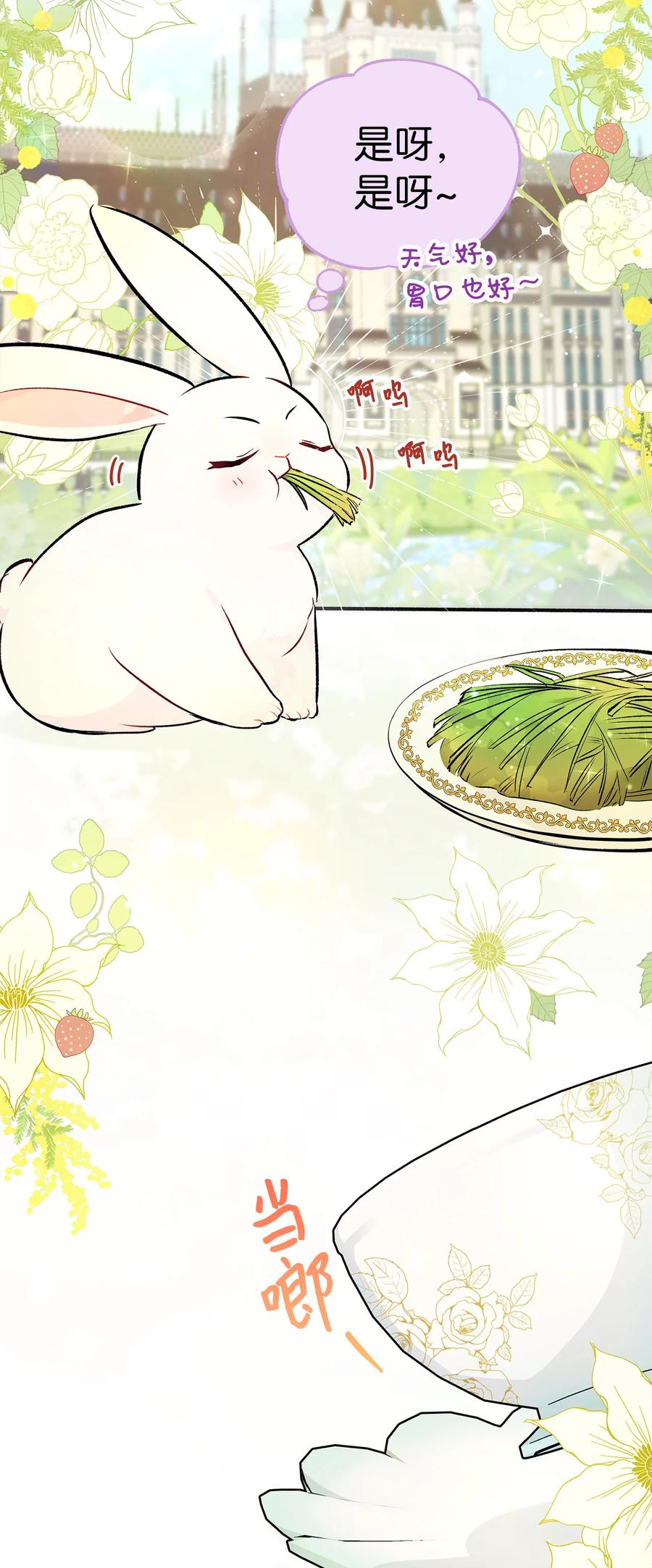 06 兔界拳王1
