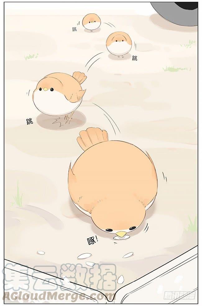 南方的鸟和北方的鸟漫画,米粒。3图