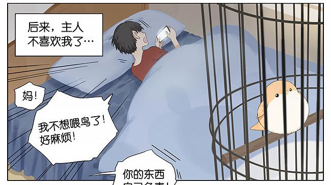 麻雀。3