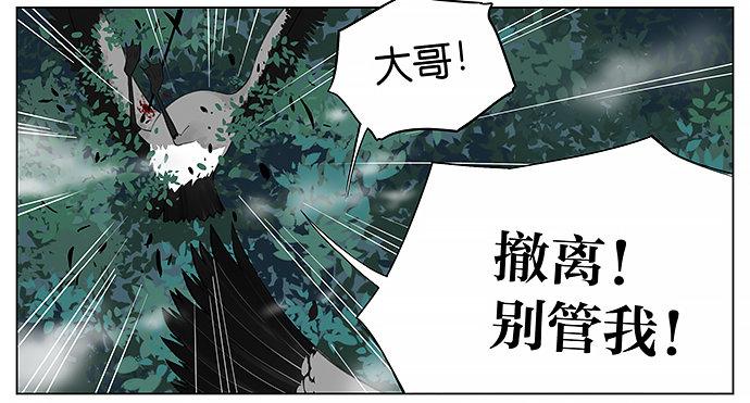 南方的鸟和北方的鸟漫画,黑雁。4图