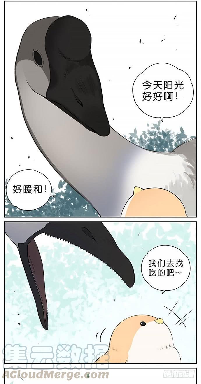 南方的鸟和北方的鸟漫画,鸭子和鹅。3图