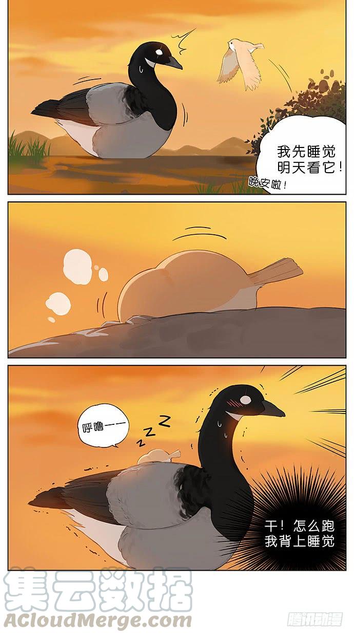 南方的鸟和北方的鸟在线看漫画,春天的鸟。3图