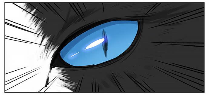 南方的鸟和北方的鸟漫画,胖胖的猫。4图