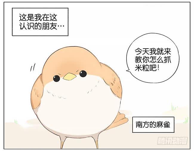 南方的鸟和北方的鸟漫画,米粒。2图