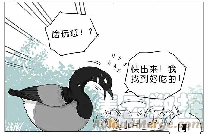 麻雀的鸟巢。2