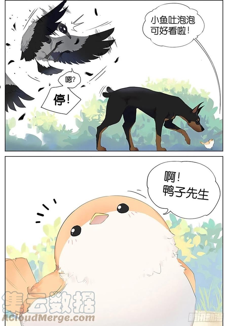 危险4