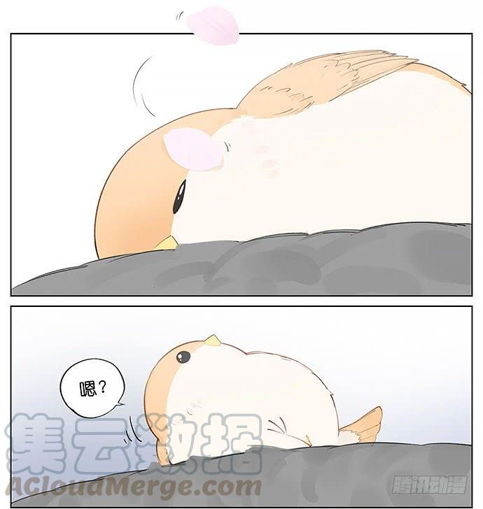 南方的鸟和北方的鸟在线看漫画,春天的鸟。5图