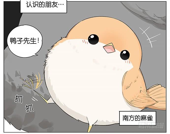 人类好可爱。1