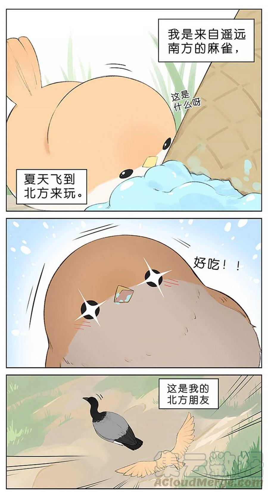 吃雪糕的麻雀。0