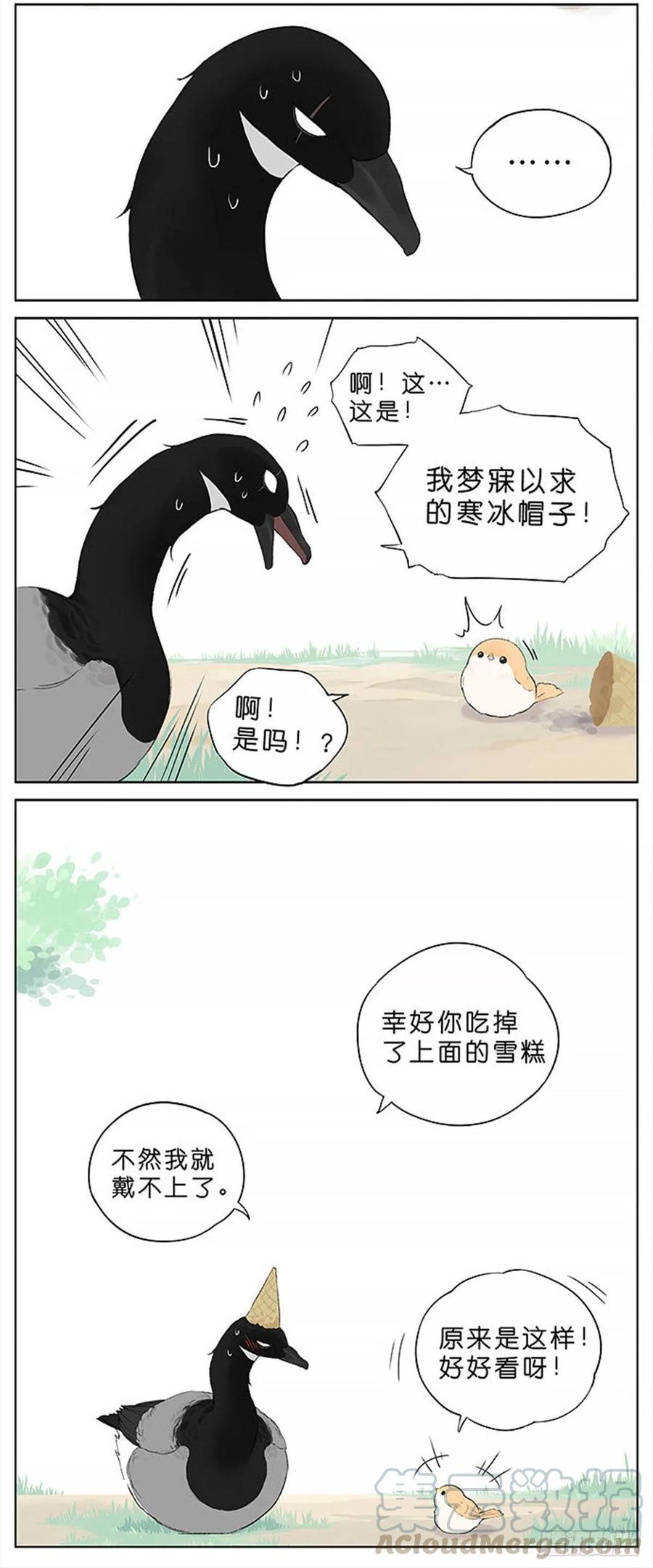 吃雪糕的麻雀。4