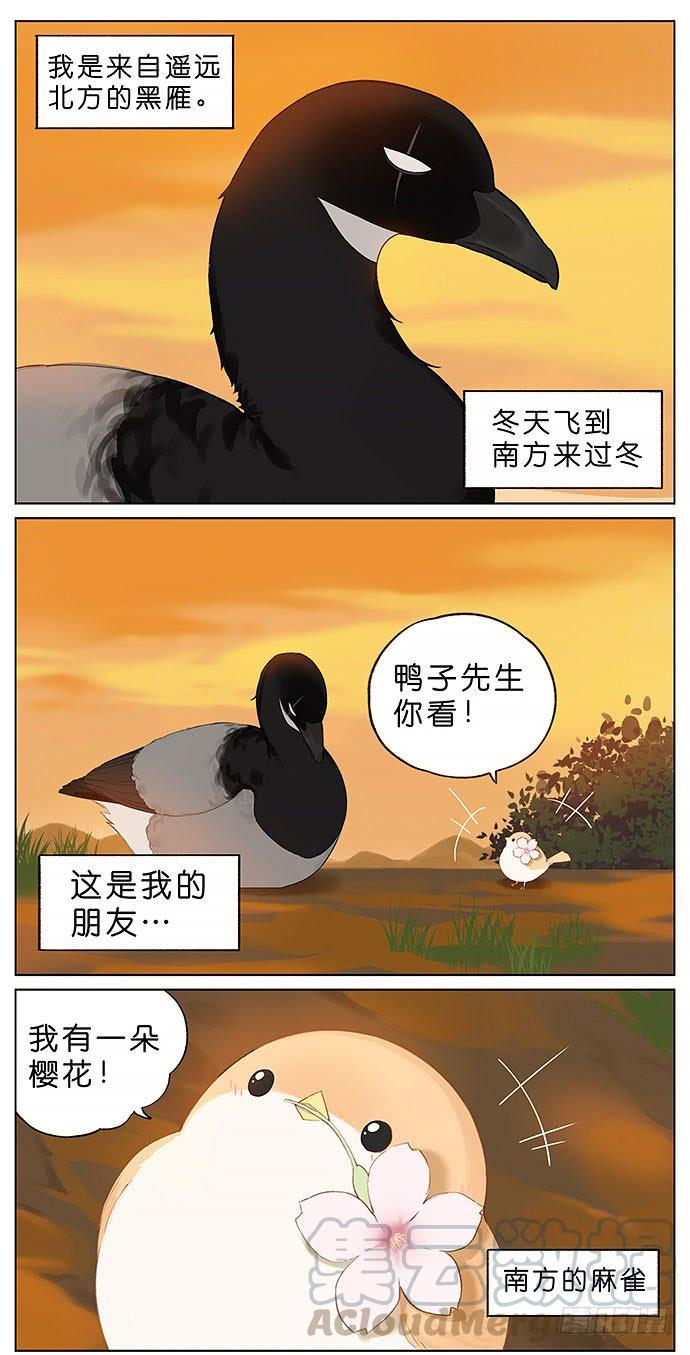 南方的鸟和北方的鸟在线看漫画,春天的鸟。1图