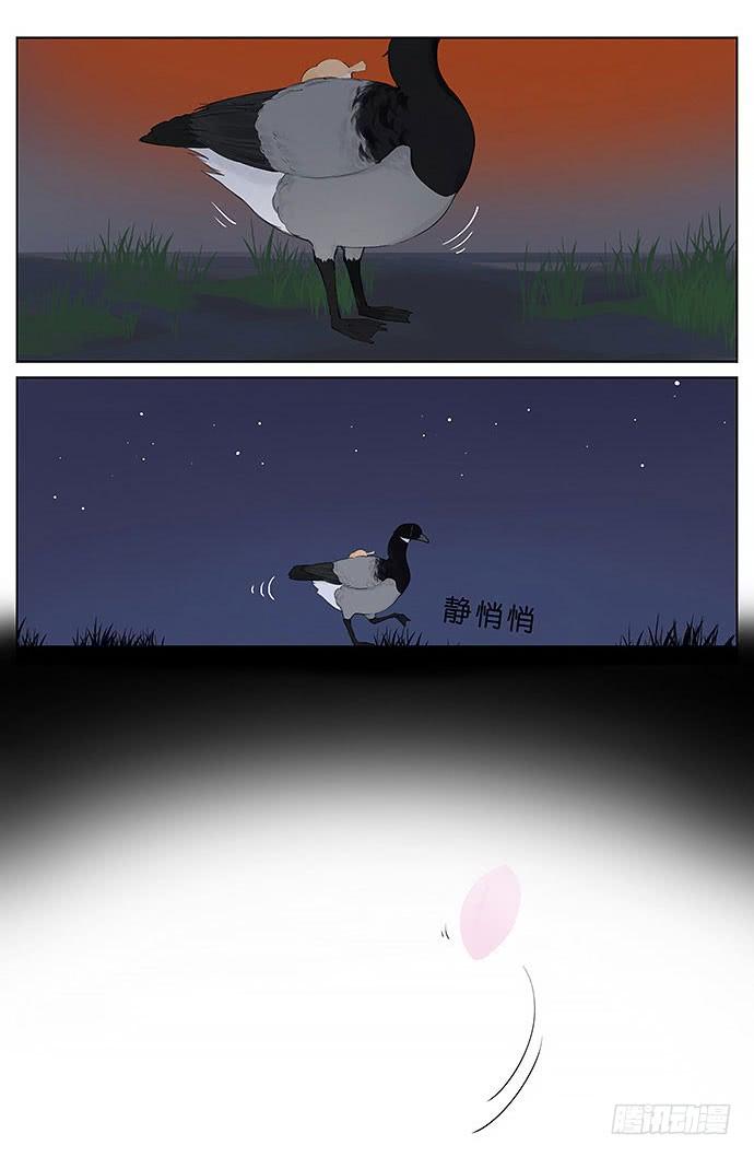 南方的鸟和北方的鸟在线看漫画,春天的鸟。4图