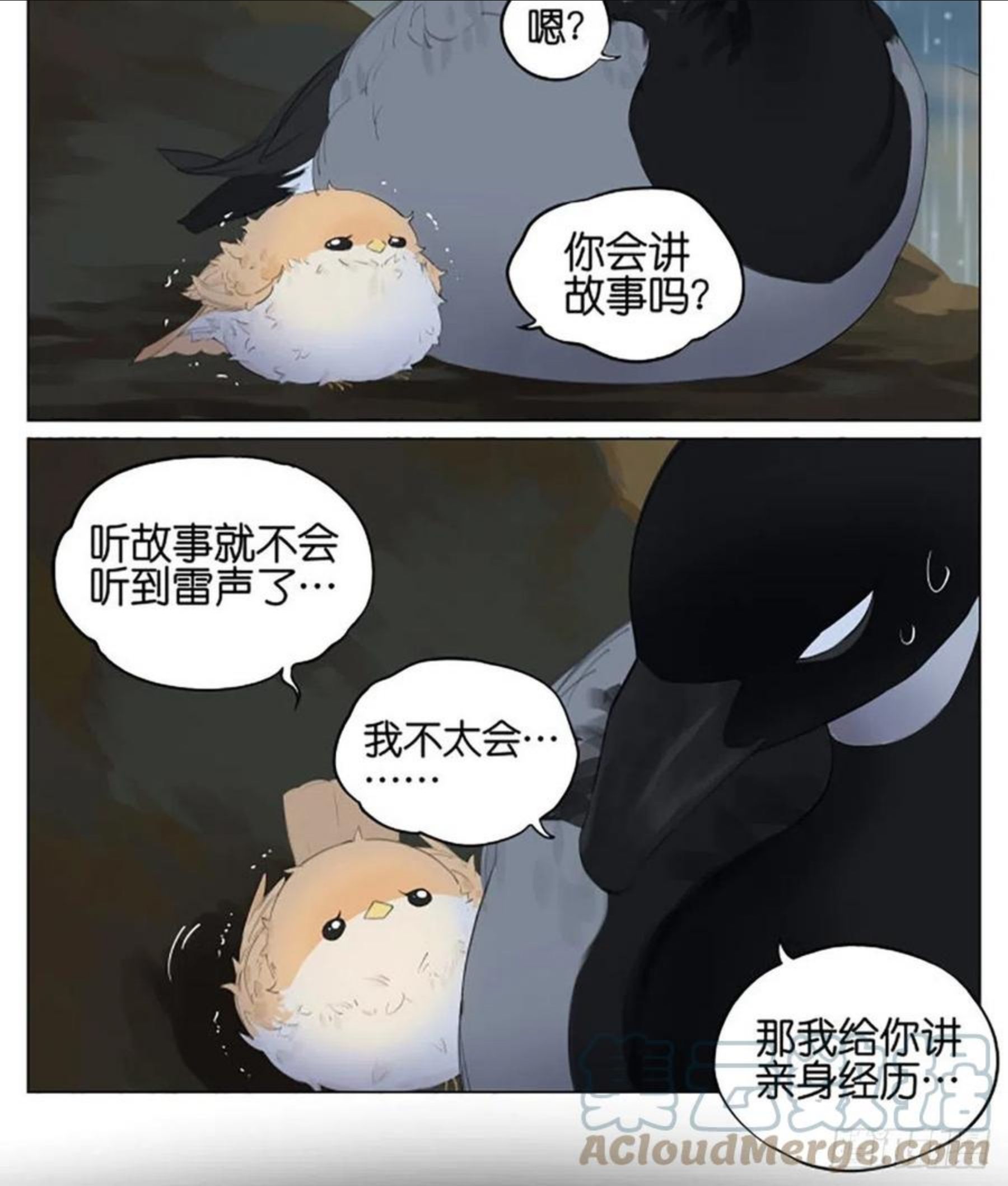 雷雨天的鸟3