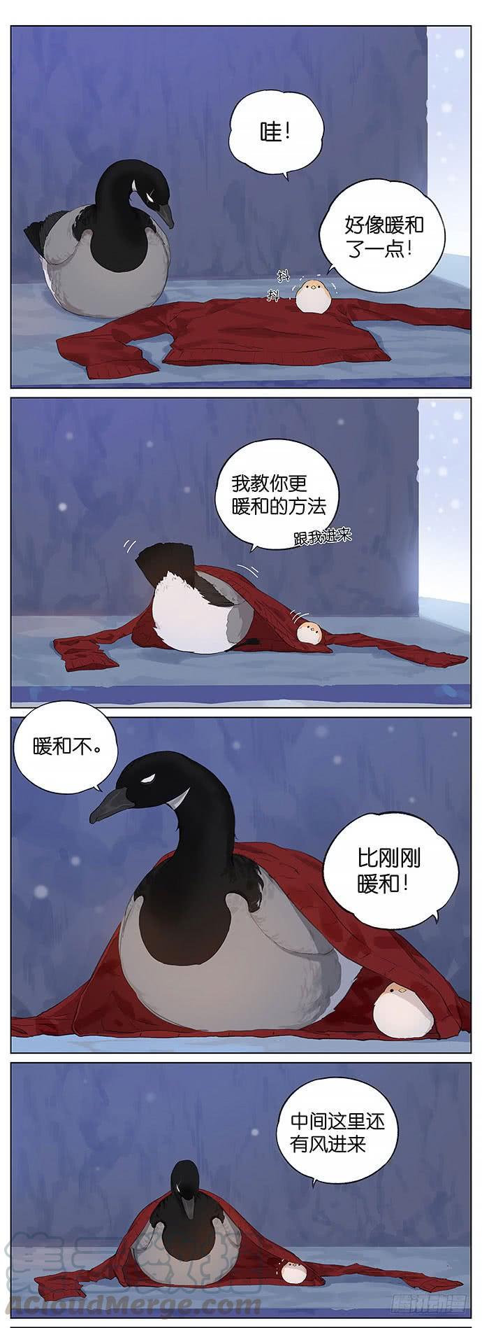 下雪天的鸟。2