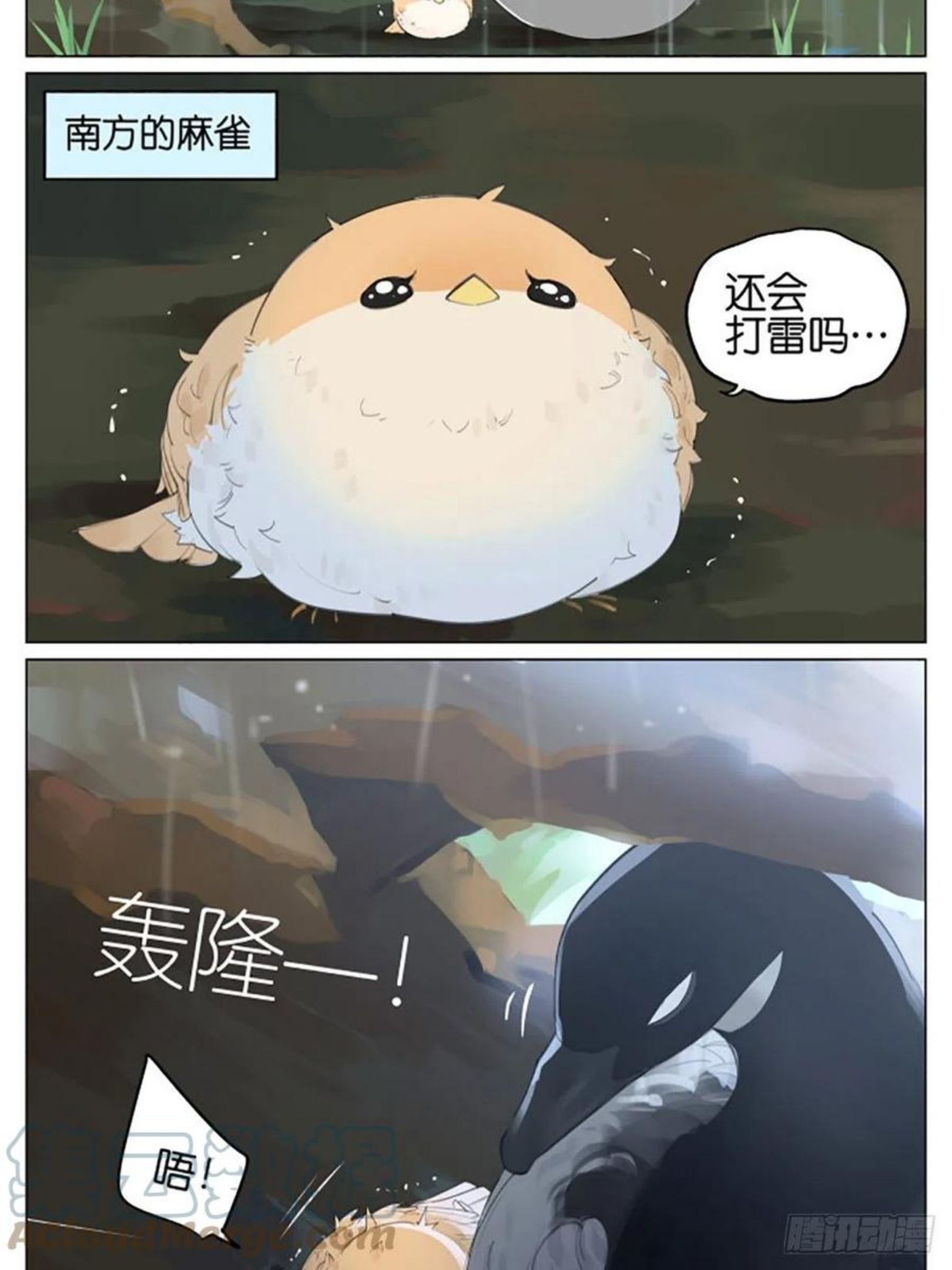 雷雨天的鸟1