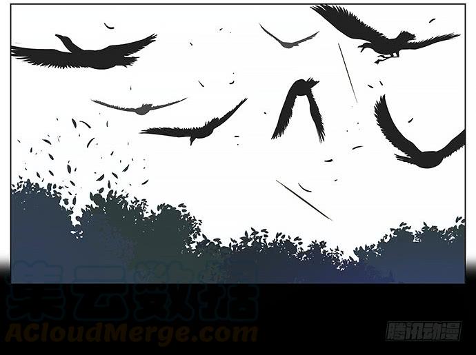 南方的鸟和北方的鸟漫画,黑雁。5图