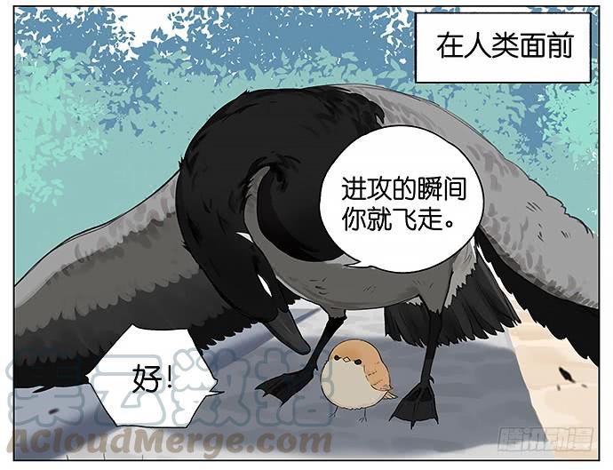 天灾。2