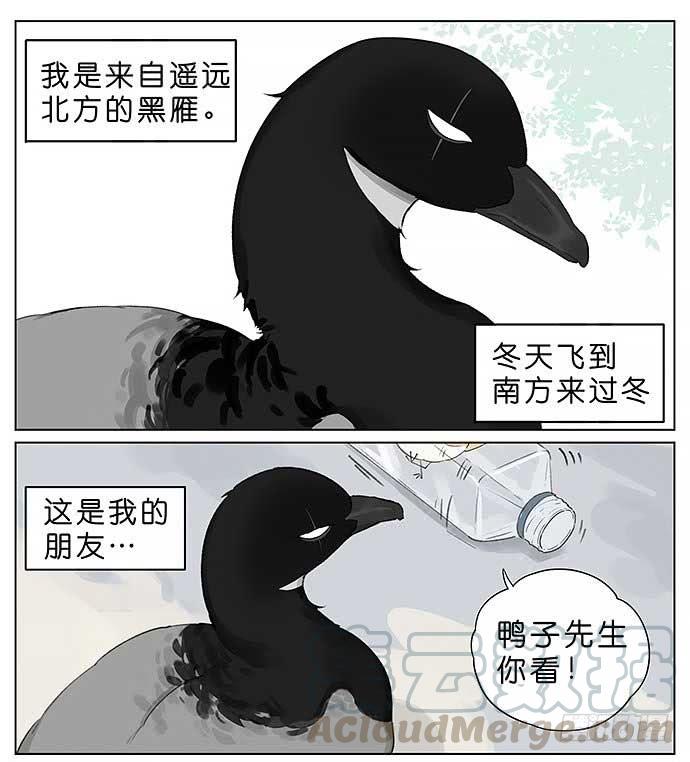 麻雀的鸟巢。0