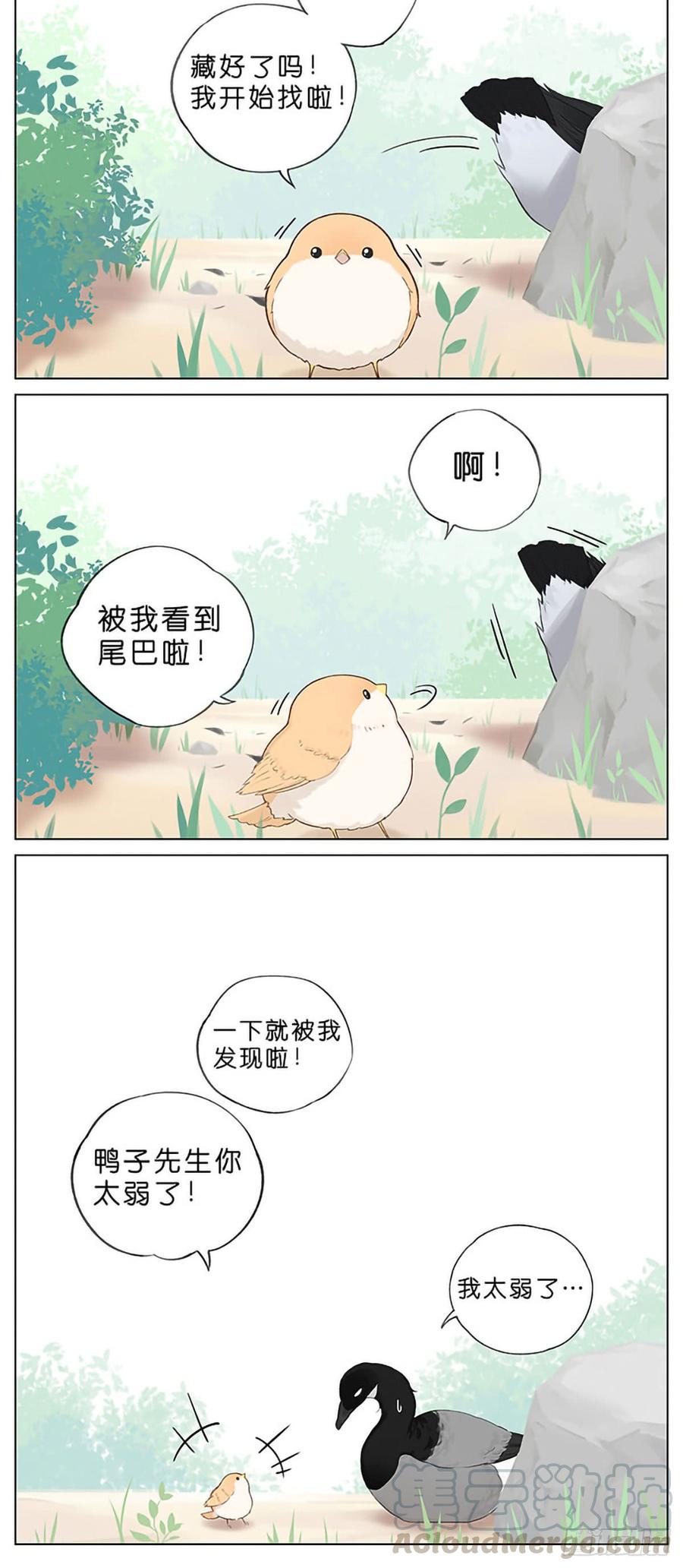 捉迷藏。4