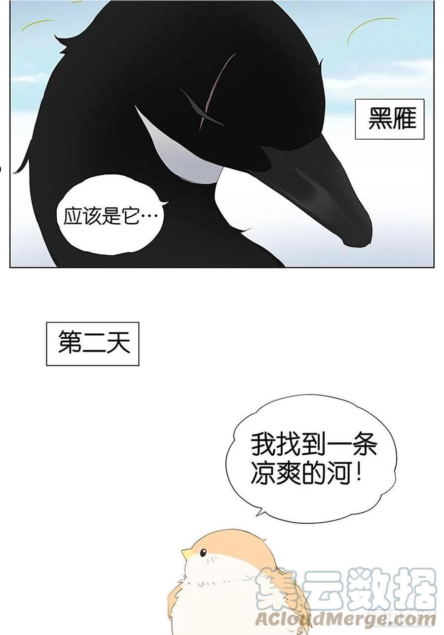 凉爽的小河 ​​​4