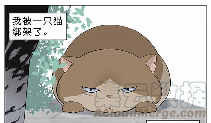 南方的鸟和北方的鸟漫画,胖胖的猫。1图