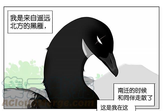 游泳。0
