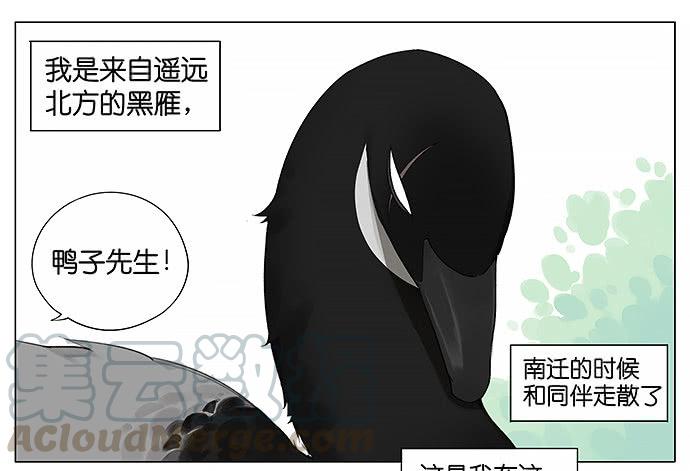 袋子。0