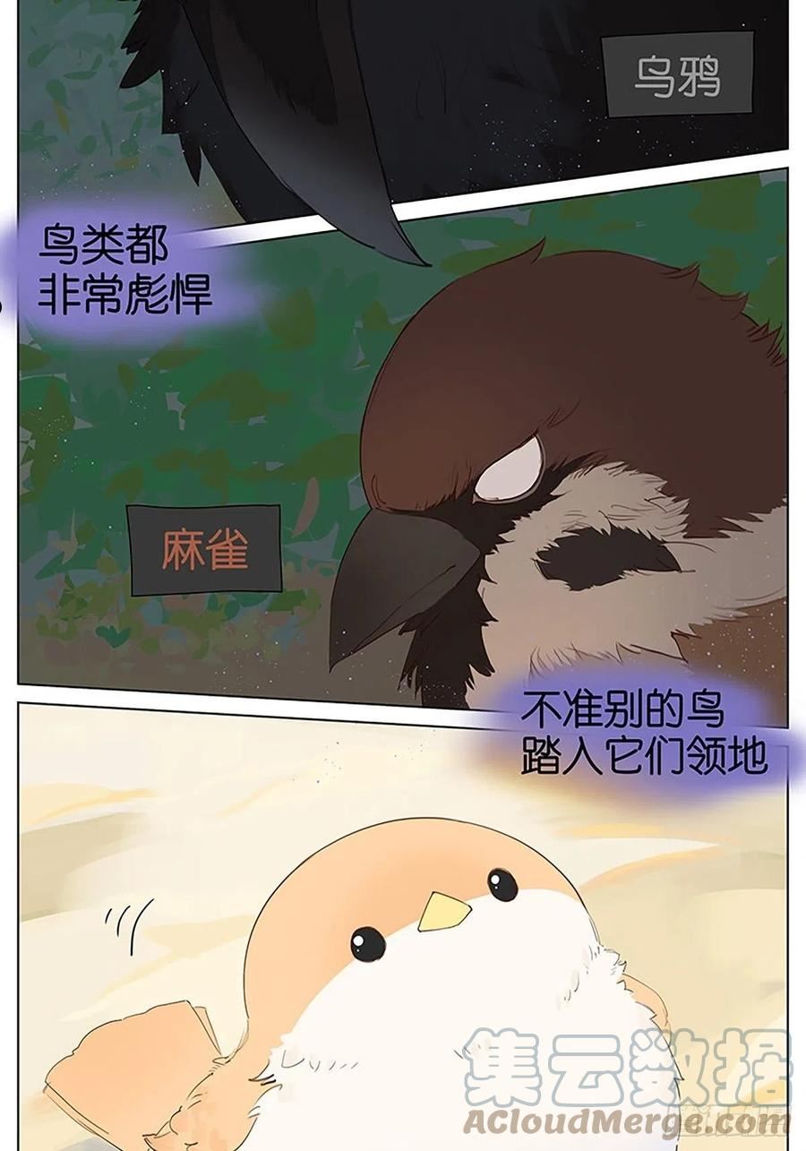 凉爽的小河 ​​​1