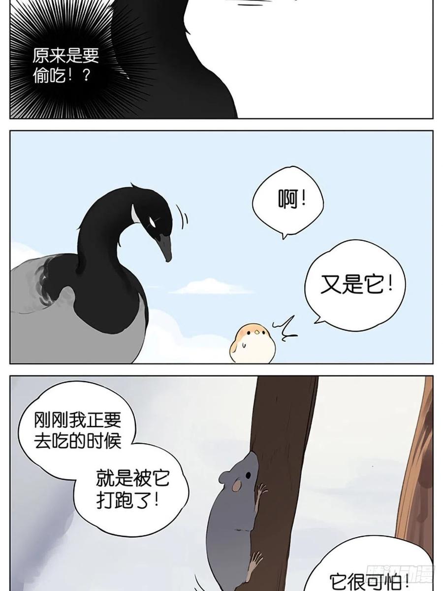 南方的鸟和北方的鸟漫画漫画,偷吃的麻雀。3图