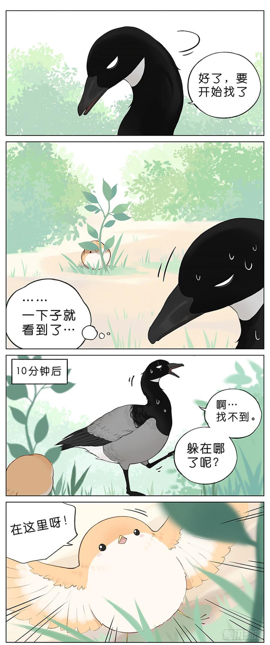 捉迷藏。1