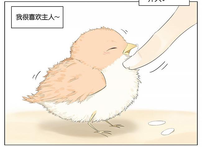 麻雀。1