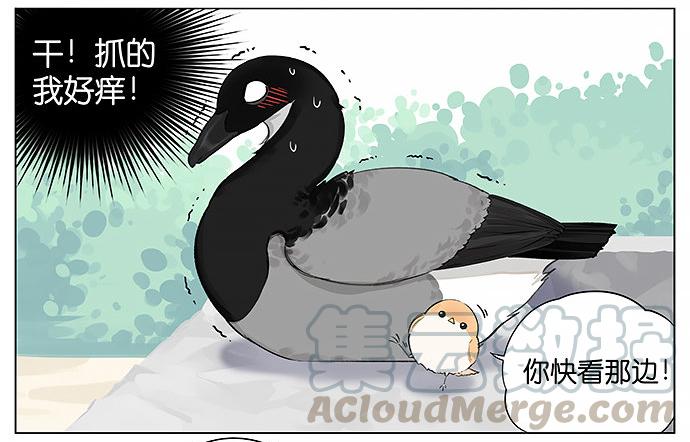 人类好可爱。2