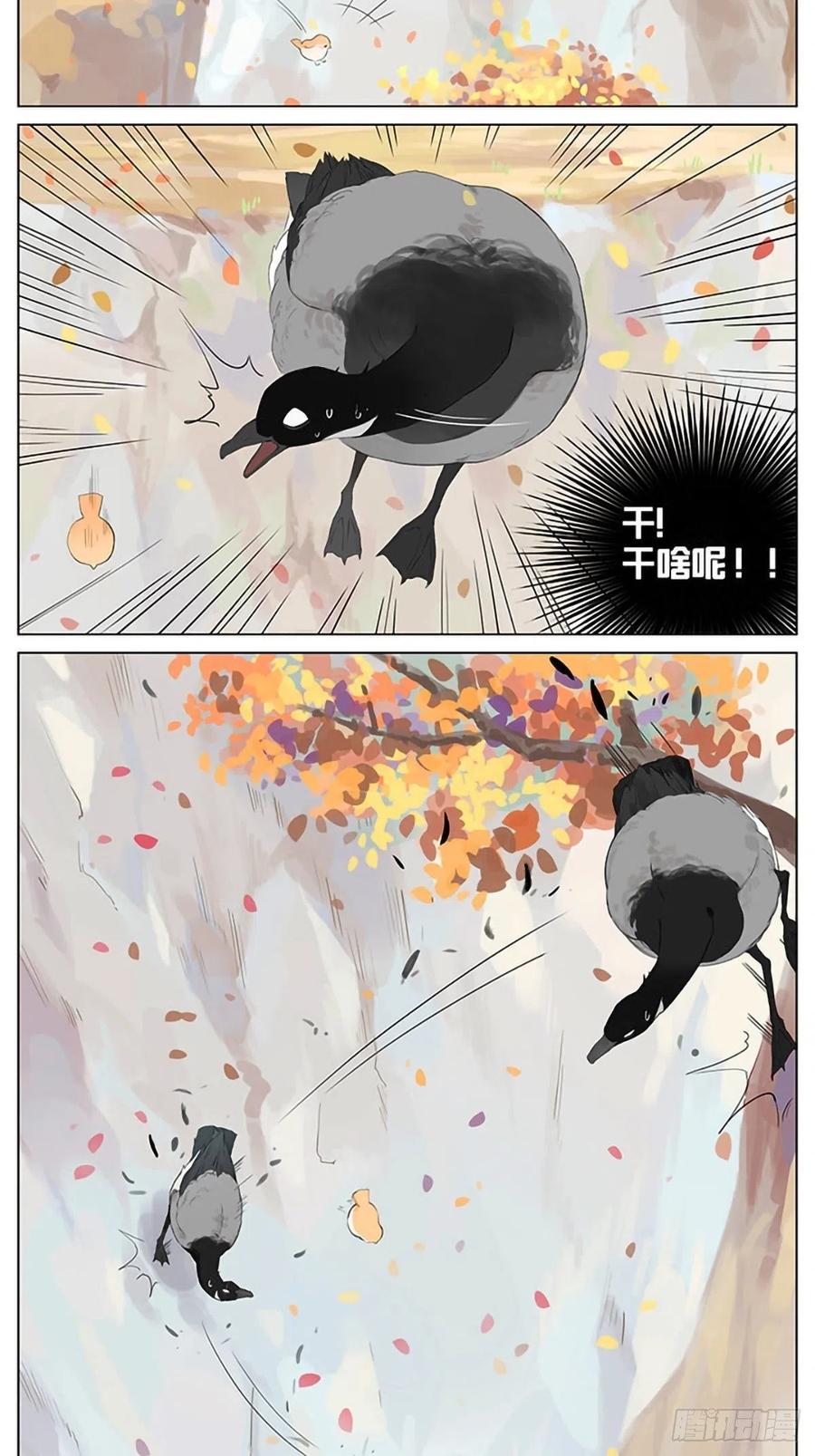 秋天的鸟。3