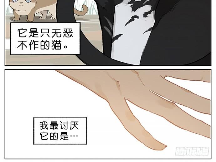 我被一只猫绑架了。1