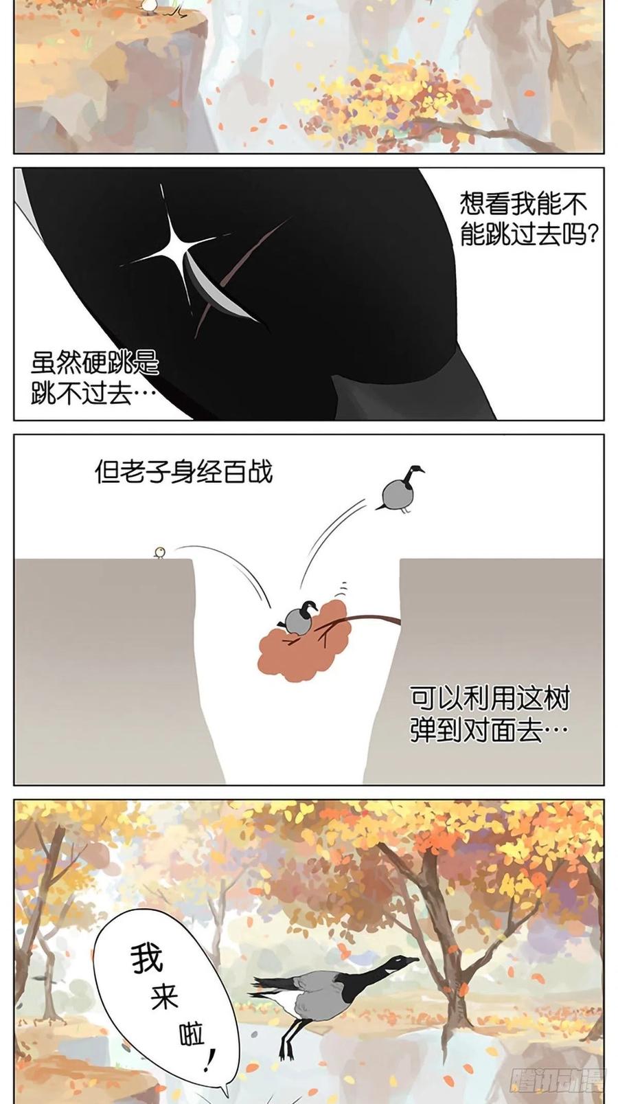 秋天的鸟。2