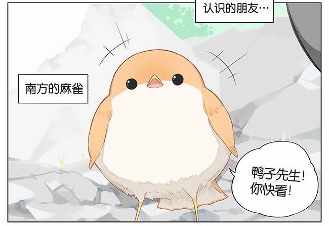 游泳。1