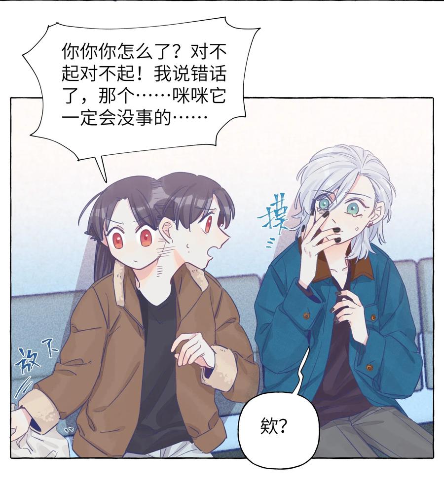 024 流浪猫的秘密2