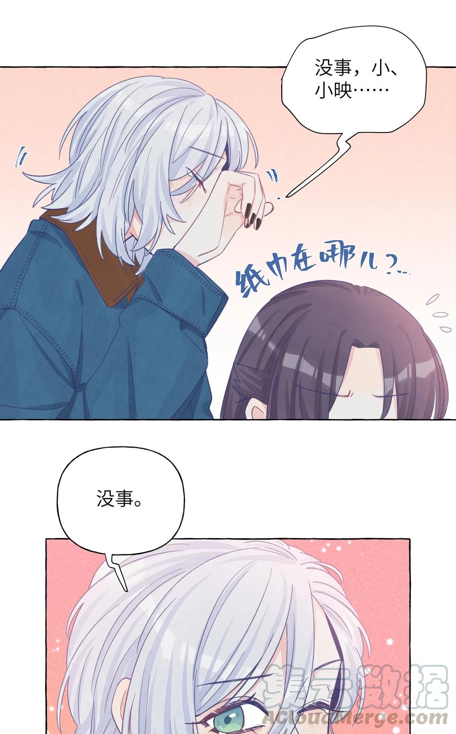 024 流浪猫的秘密3