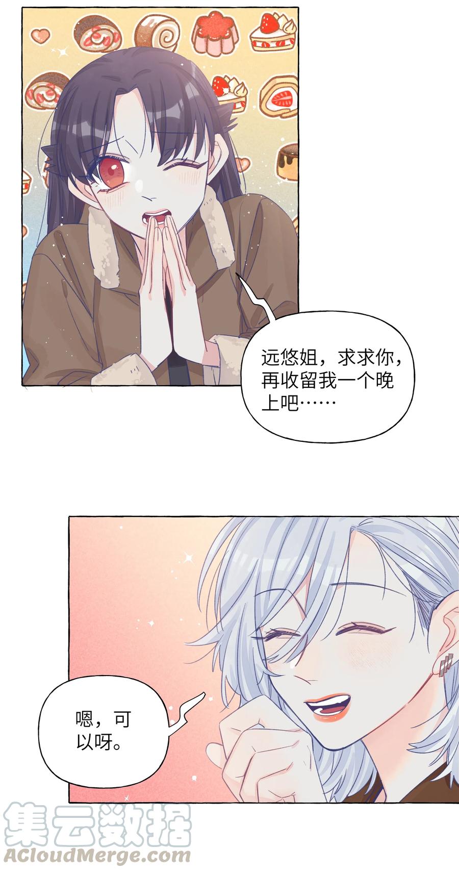 024 流浪猫的秘密1