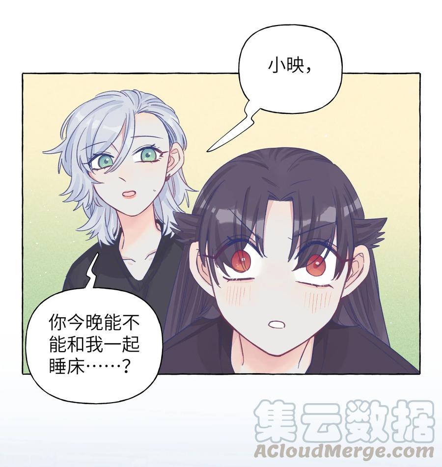 024 流浪猫的秘密4
