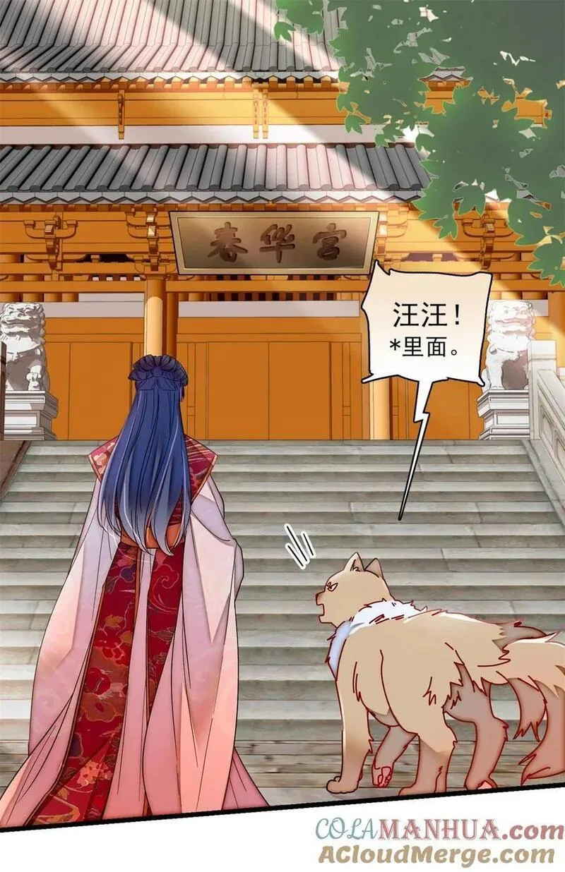 似锦姜湛结局漫画,347 贤妃？宁妃？3图